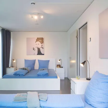 Hitrental Allmend Comfort Διαμέρισμα